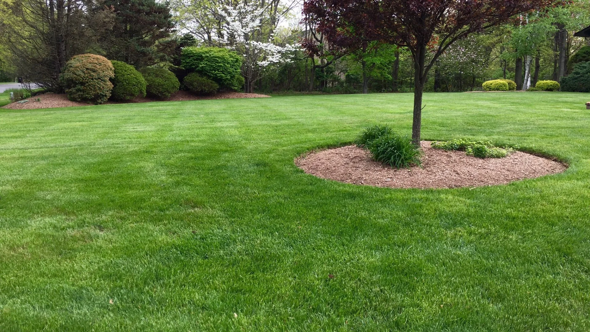 How Long Will It Take for Your Lawn to Absorb a Fertilizer Treatment?