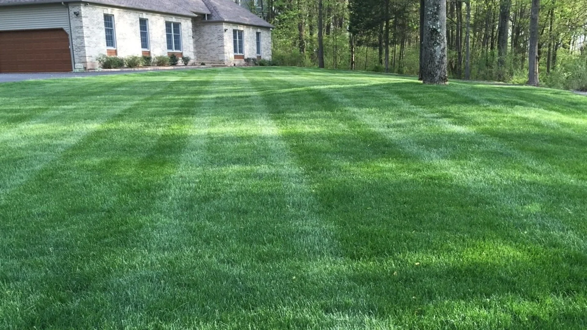 banner-green-front-lawn-trees-and-house.