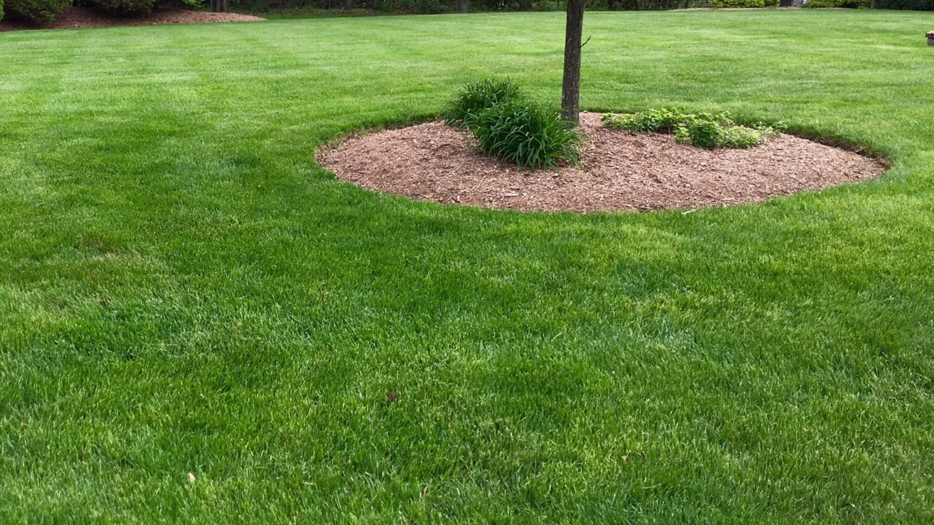 Close up of irrigation sprinkler head spraying water.