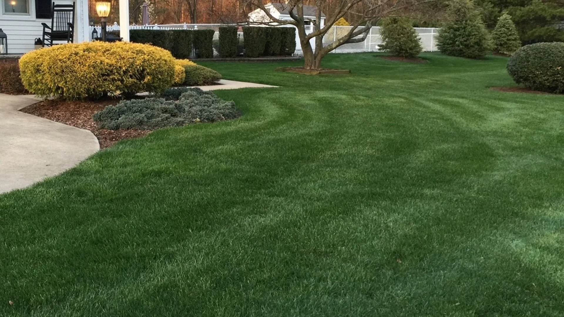 How Long Can You Expect It to Take for Post-Emergent Weed Control to Work?
