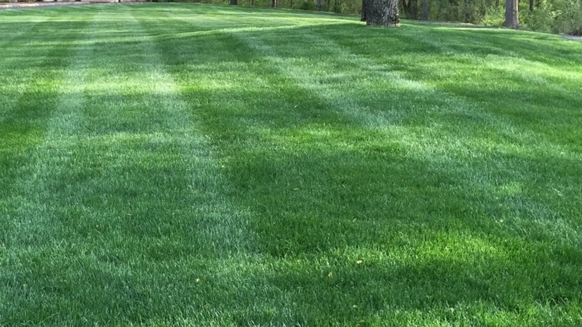 Close up of irrigation sprinkler head spraying water.