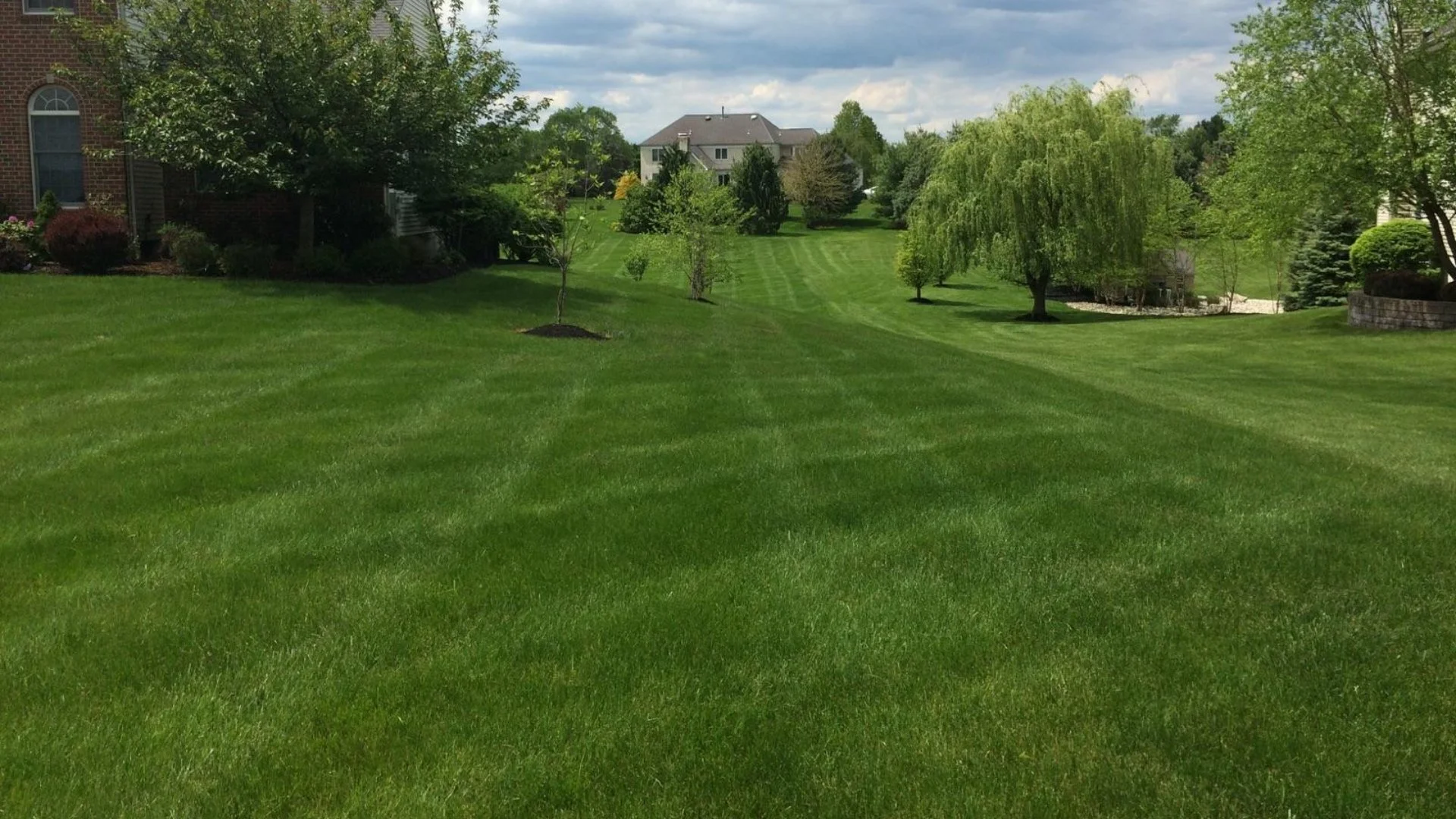 Close up of irrigation sprinkler head spraying water.