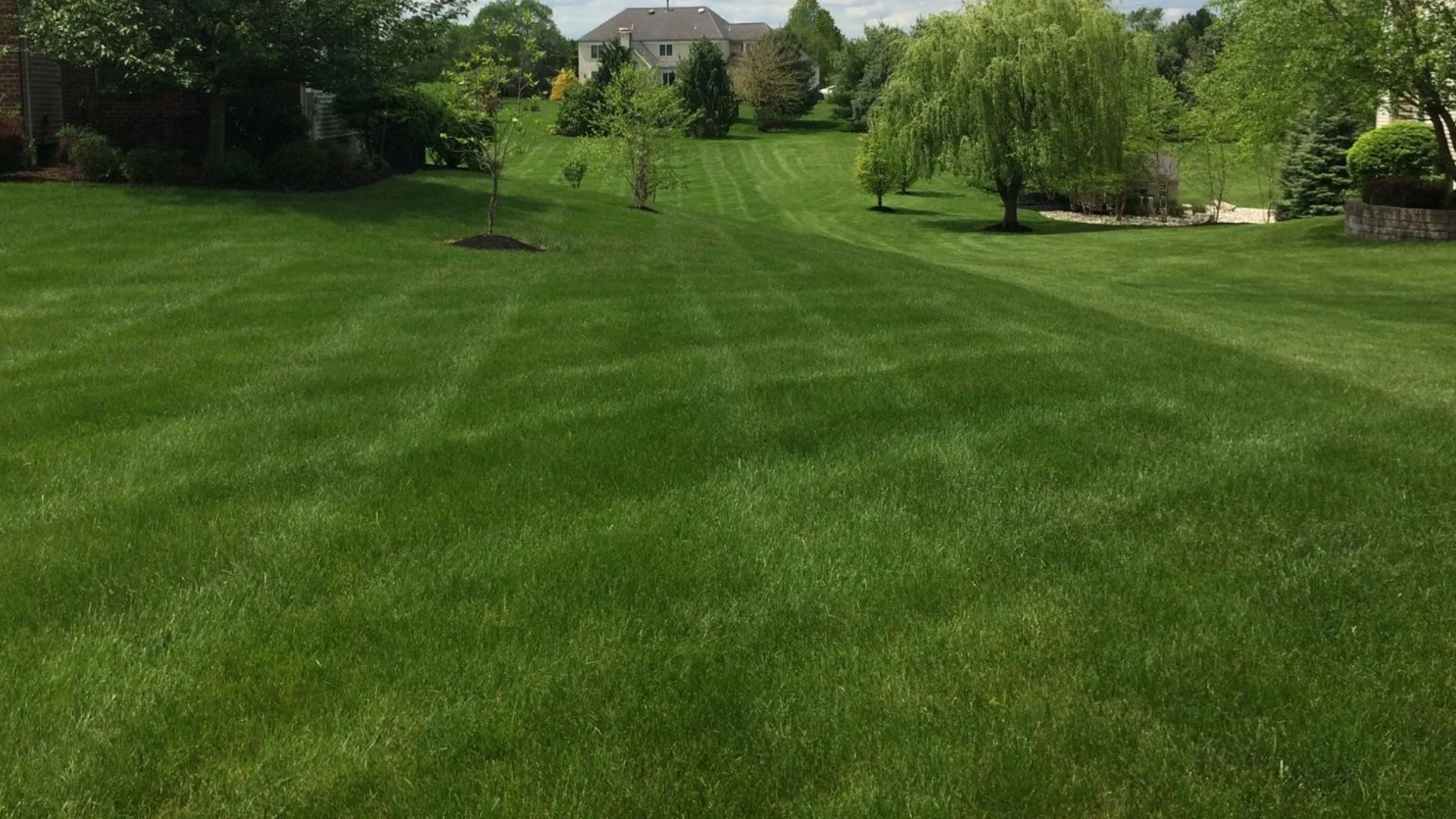 Don’t Fertilize Your Lawn Too Early in the Spring - It’s Not a Good Idea!