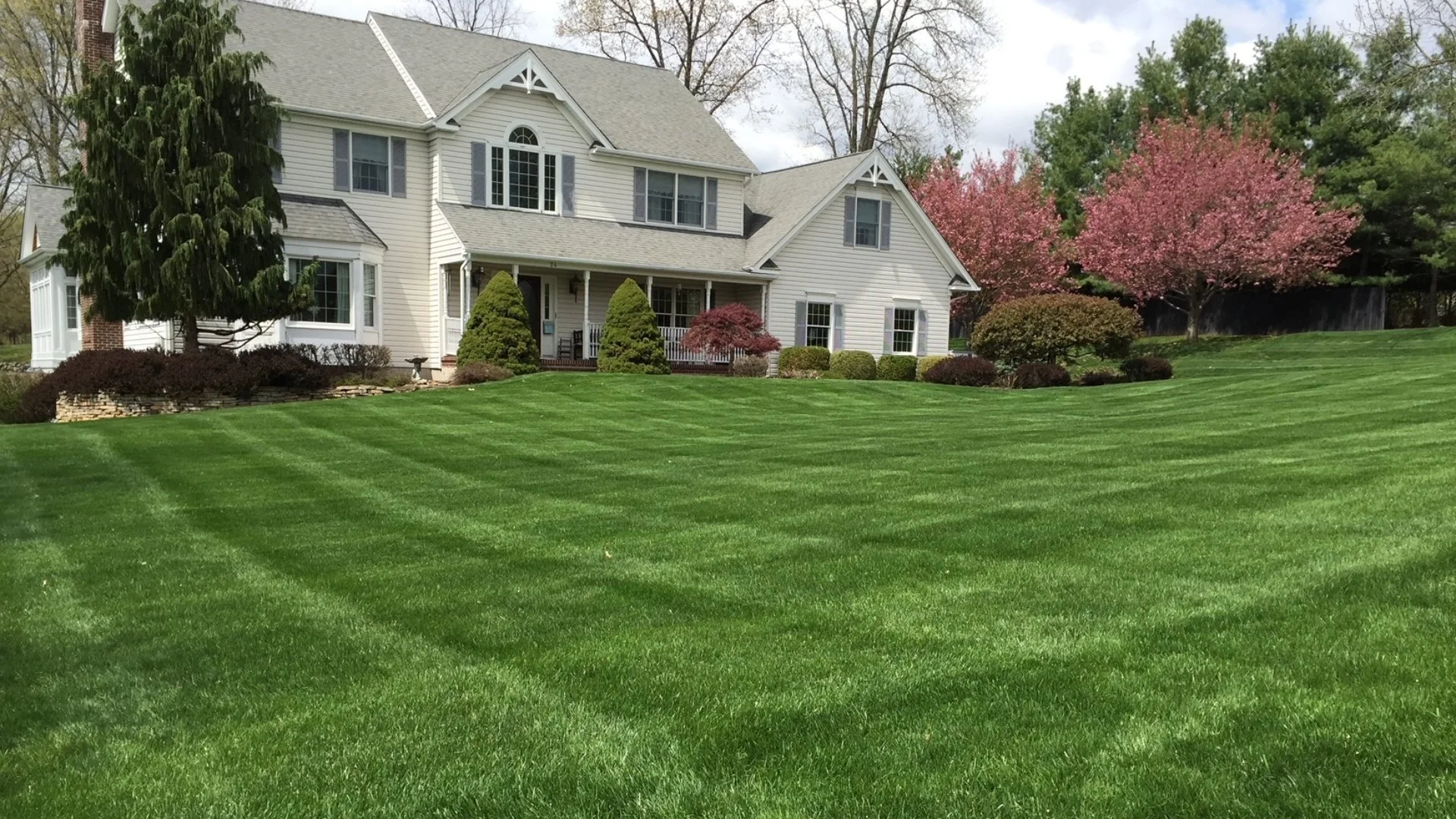 3 Things to Look for Before Signing up for a Lawn Care Program