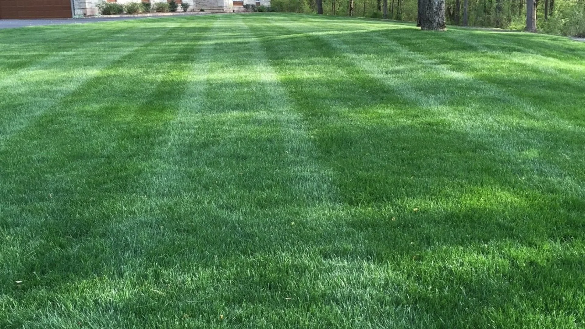 Liquid vs Core Aeration - Which Is the Better Option for Lawns in Spring?