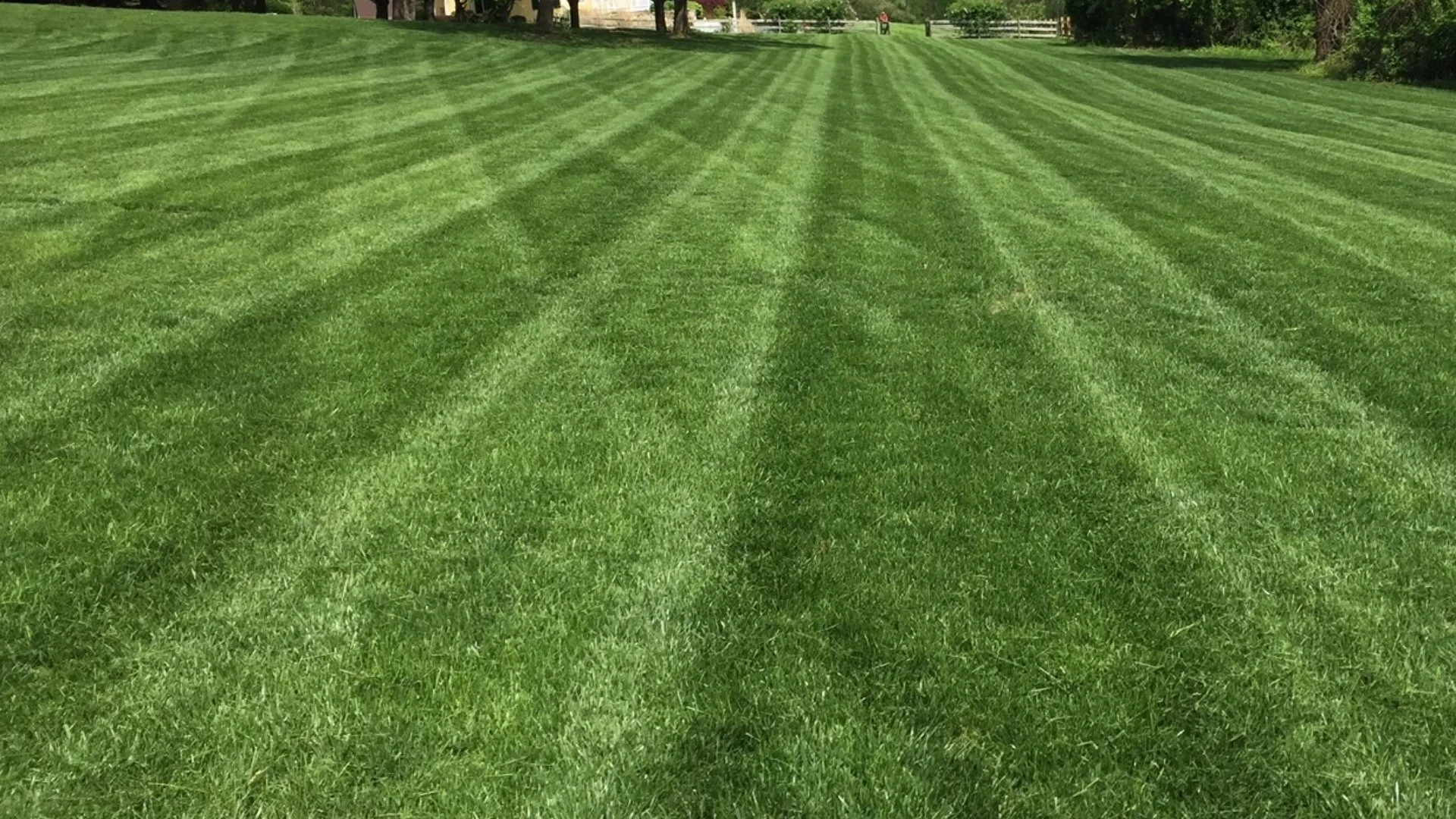 Close up of irrigation sprinkler head spraying water.