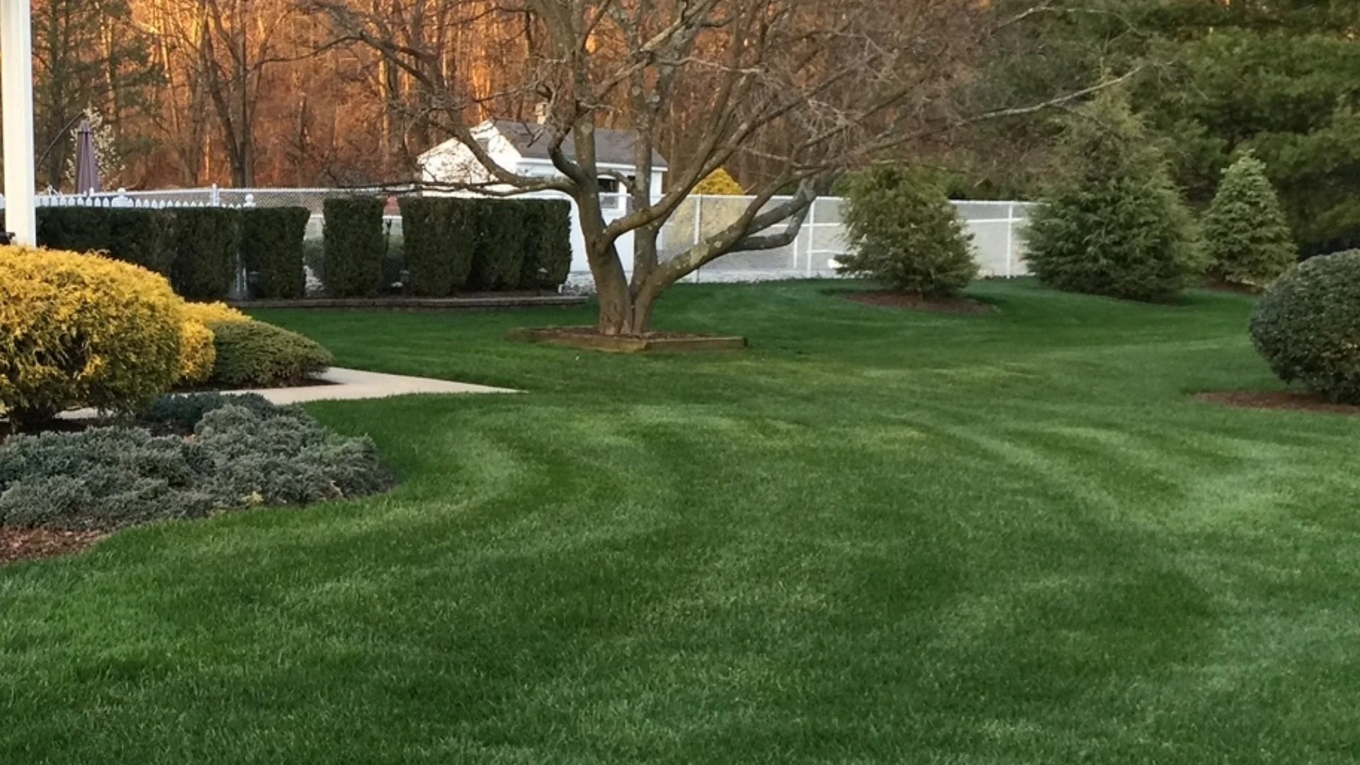 Close up of irrigation sprinkler head spraying water.