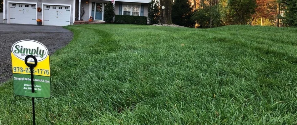 Low view of lush grass and a lawn sign in Wayne, NJ.