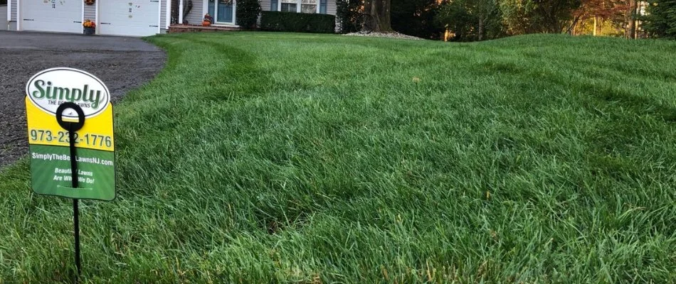 Lush, green grass in Wayne, NJ, with a Simply lawn sign.
