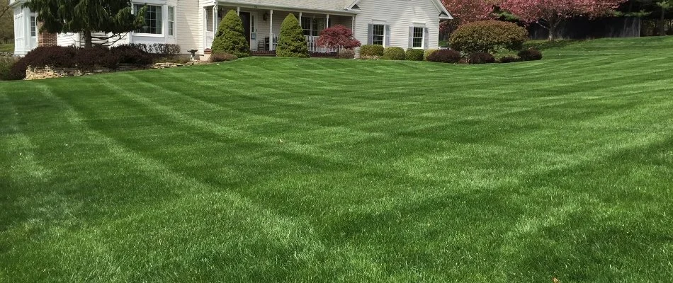 Lush, green lawn with striping in Wayne, NJ, and a house.