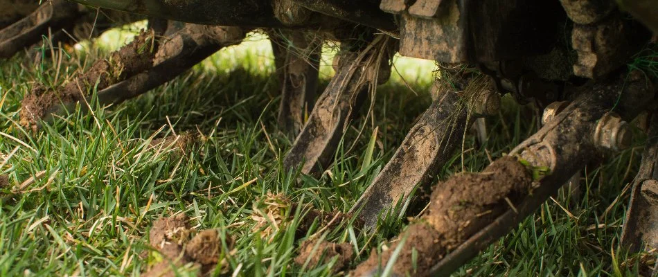 Tines of a core aerator on a lawn in Wayne, NJ.