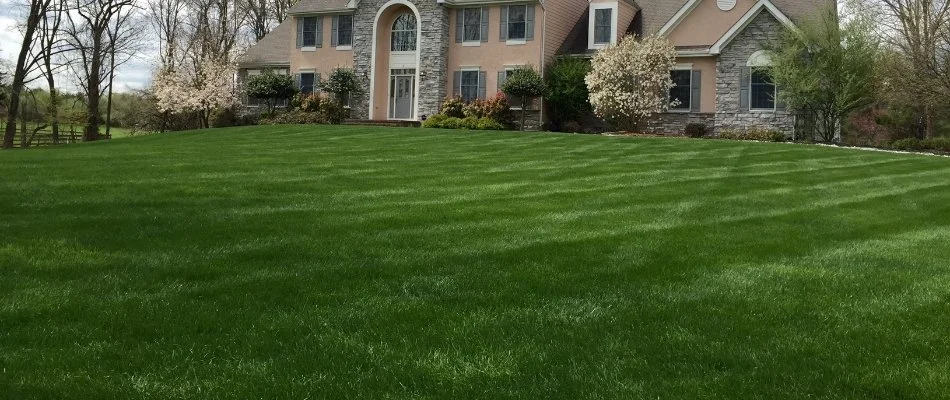 Expansive lawn in Paterson, NJ, with green grass and a house.