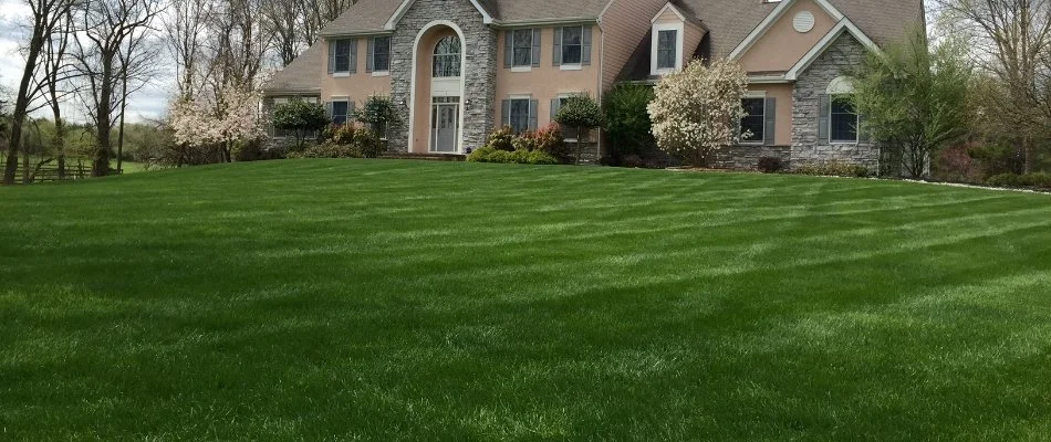 Green, front lawn and a house with shrubs in Hackensack, NJ.