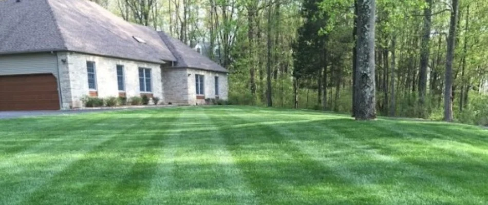 Residential property with green grass in Wayne, NJ.