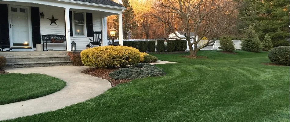 Healthy, green lawn on a residential property in Wayne, NJ.