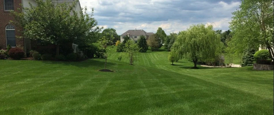 Healthy, green lawn in Wayne, NJ, with lots of green trees.