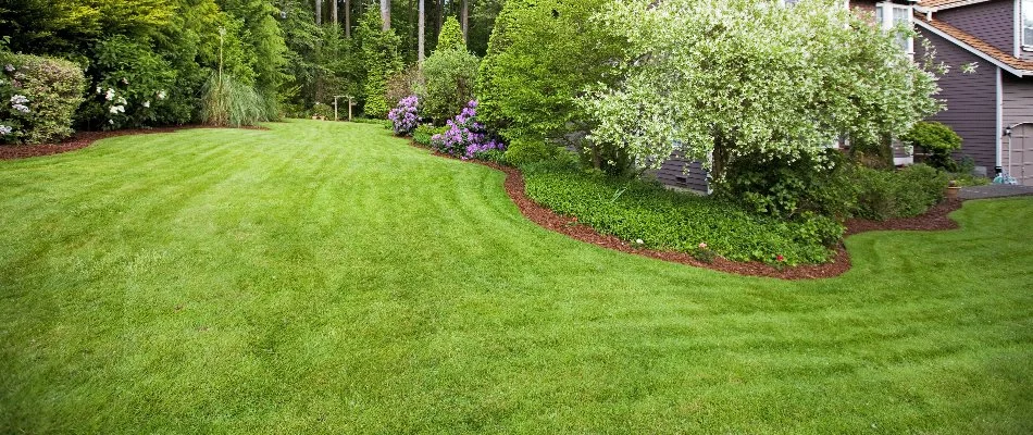 Healthy, green lawn in Teaneck, NJ, with plants in a landscape bed.