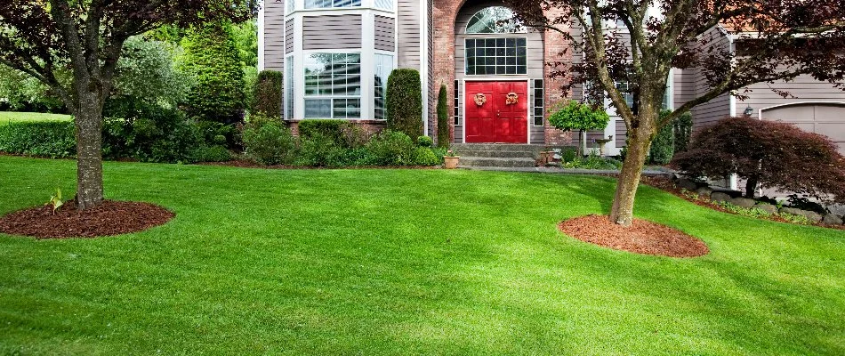 House with a red door in Warren, NJ, and a lawn with trees.
