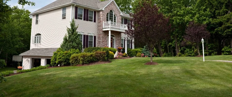 Lawn, small trees, and plants in front of a house in Englewood, NJ.