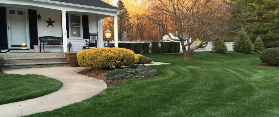Lush, green lawn in front of a home in Belleville, NJ.