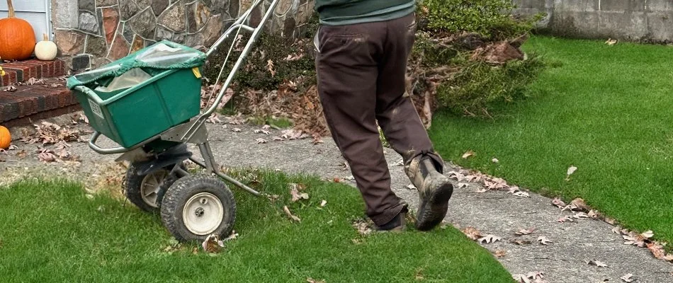 Professional applying a granular fertilizer treatment on a lawn in Wayne, NJ.