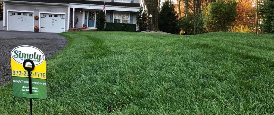 A thick, lush lawn on a residential property in Warren County, NJ.