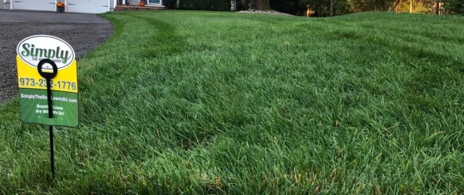 Thick, lush grass on a property in Clifton, NJ.