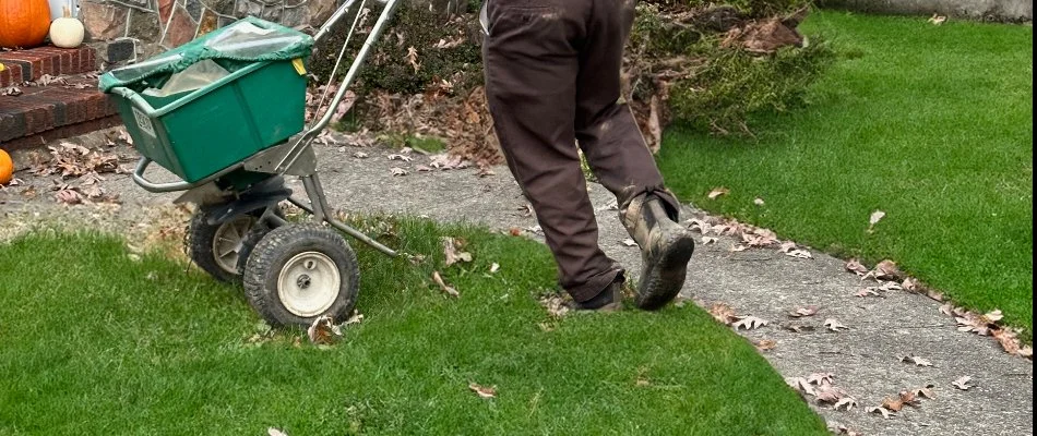 A worker in Wayne, NJ, pushing a spreader for overseeding.